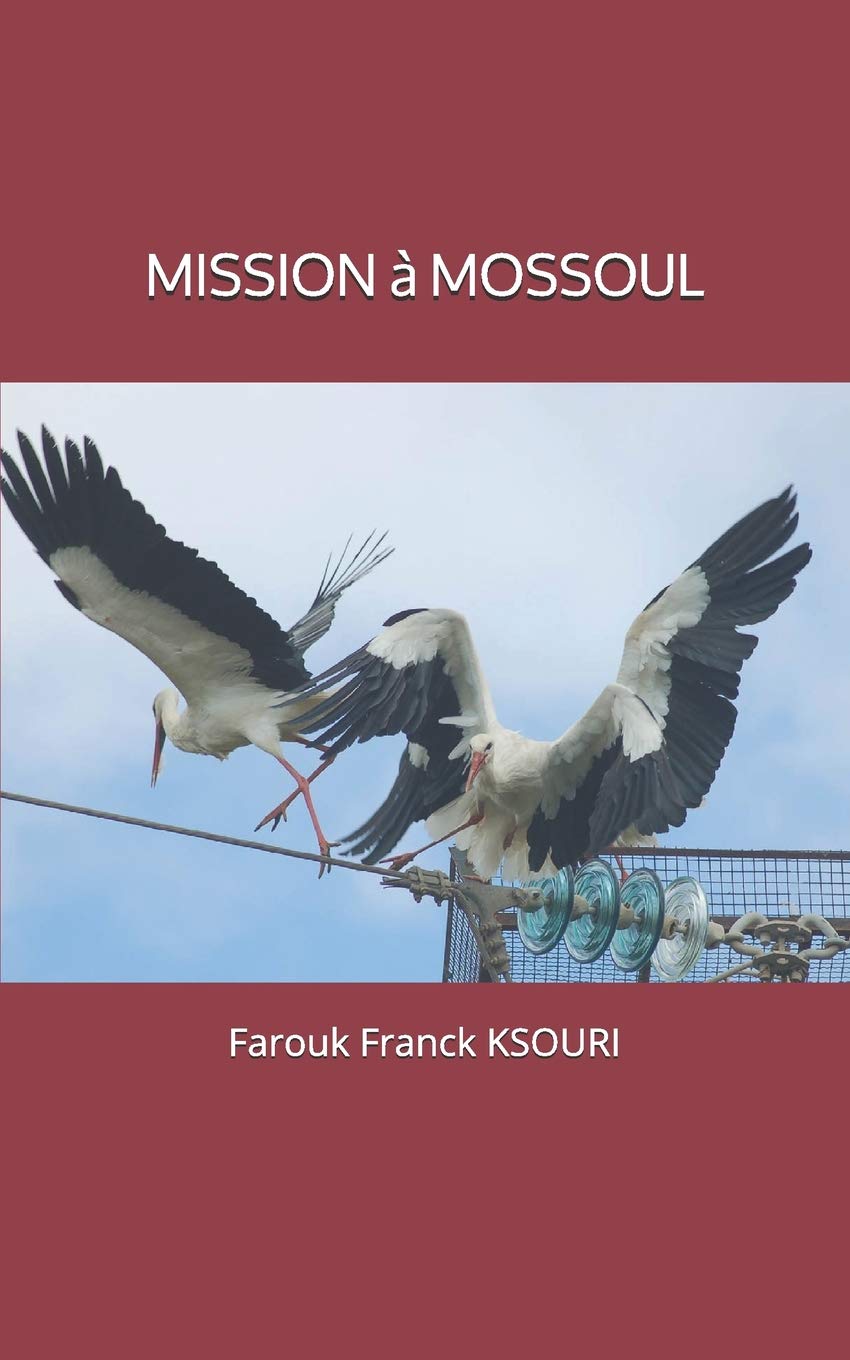 Mission à Mossoul: Mr Oxygène