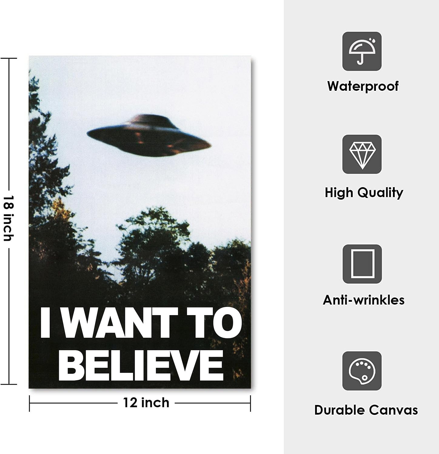 Amazon.co.jp: The X Files I Want To Believe ポスター-I Want