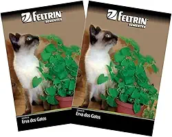 FELTRIN, 2X Sementes de Erva dos Gatos Catnip FELTRIN