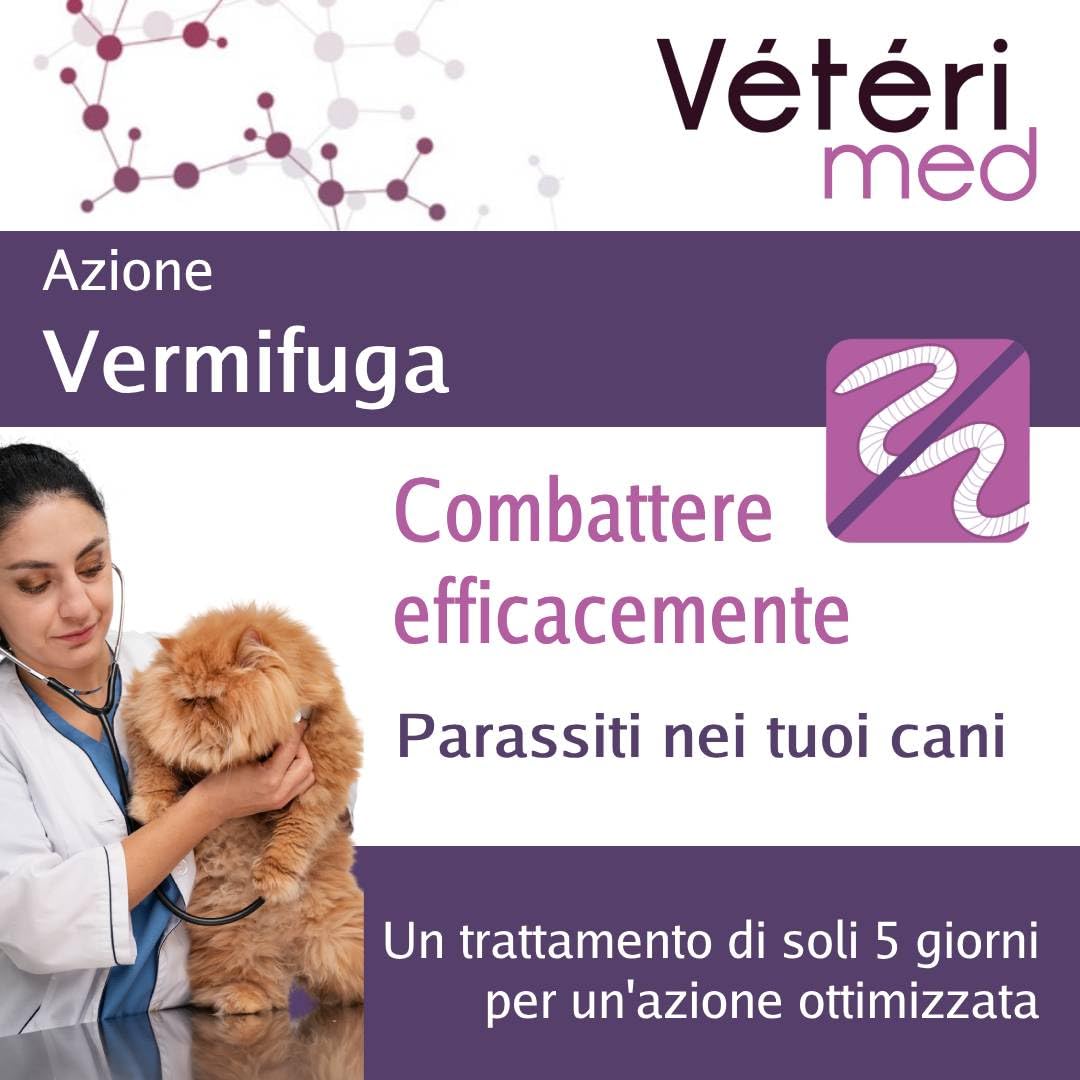 Vermifuge Chats Antiparasitaire Interne - Poudre Vermifuge pour Chats - Hygiène Intestinale Fabriqué en France (Chat, Poudre 30g) - Version Italienne