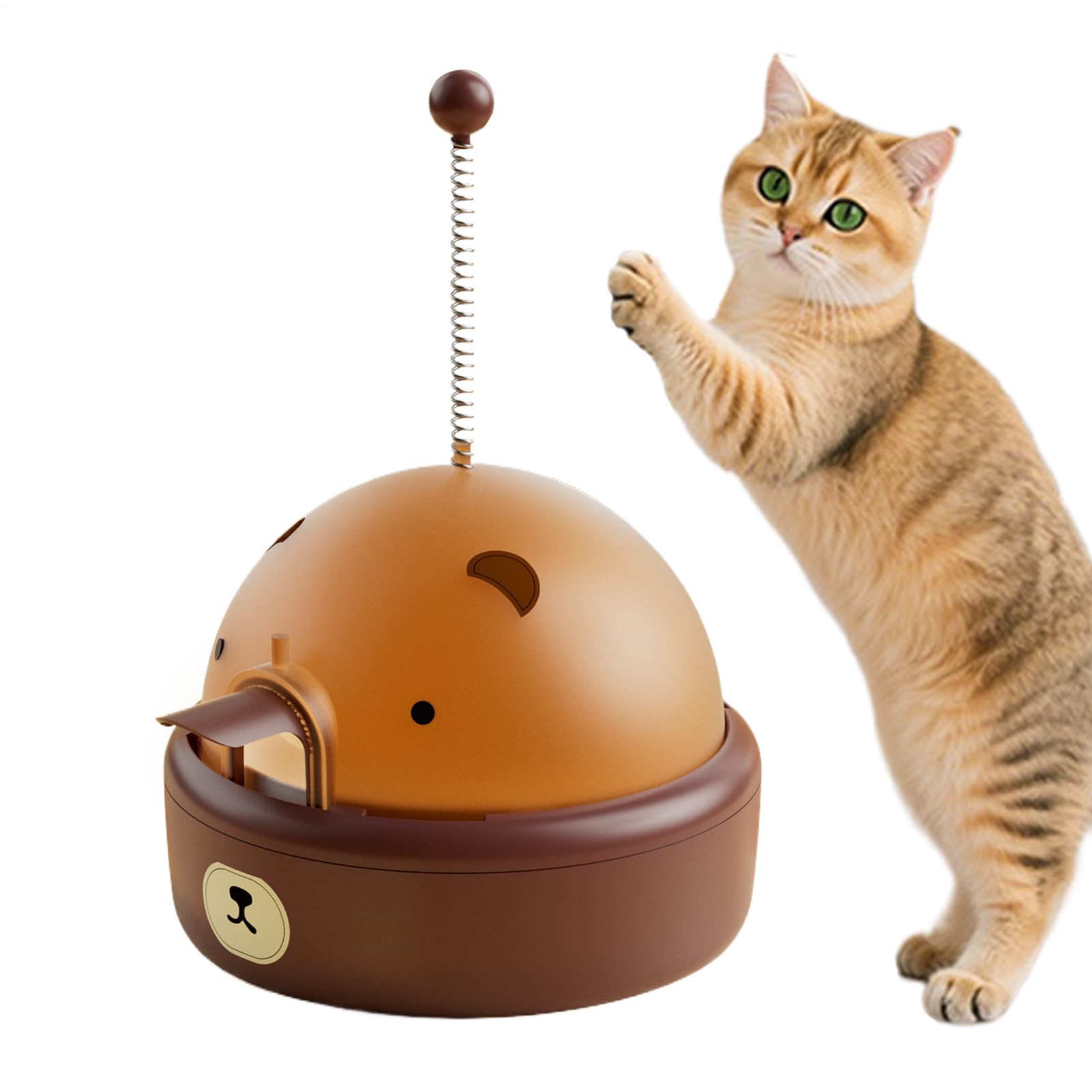 Distributeur pour l'alimentation des chatons et jeu électrique à la maison