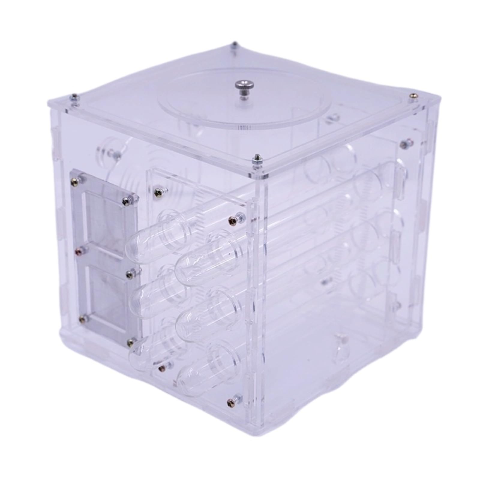 Formicarium， Transparente Ameisenfarm Aus Acryl, Nest, Insektenzucht-Beobachtungsbox Insektenhaus Zum Ameisen Beobachten(18cm Diameter Test Tube)