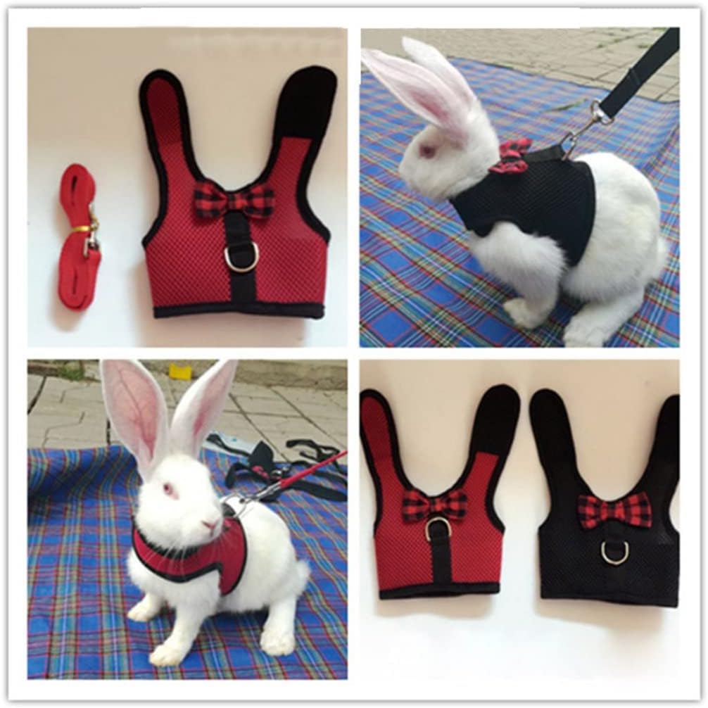 Pet Mesh Soft Harness with Leash Small Animal Vest Lead for Hamster Rabbit Bunny Small Animal Pet Accessories Belt Lead Set (C Small)