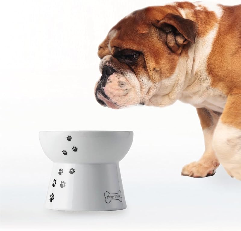 Necoichi Raised Dog Food Bowl, Elevado, para perros y gatos, comedero para mascotas Antideslizante para perros pequeños Apto para lavavajillas y microondas, ¡Vendedor número 1 en Japón! (Perro, plato de comida)