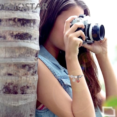 Miniatura 4 de Juego de dijes de insectos que se adapta a pulseras Pandora, brillantes dijes de amor infinito y dijes colgantes de mariquita negra, juego de joyas