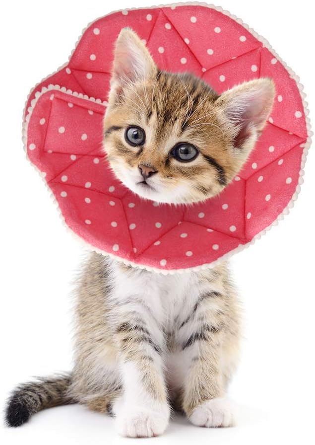 SLSON Cat Recovery Collar Soft Pet Cone Collar Protective Cotton Cat