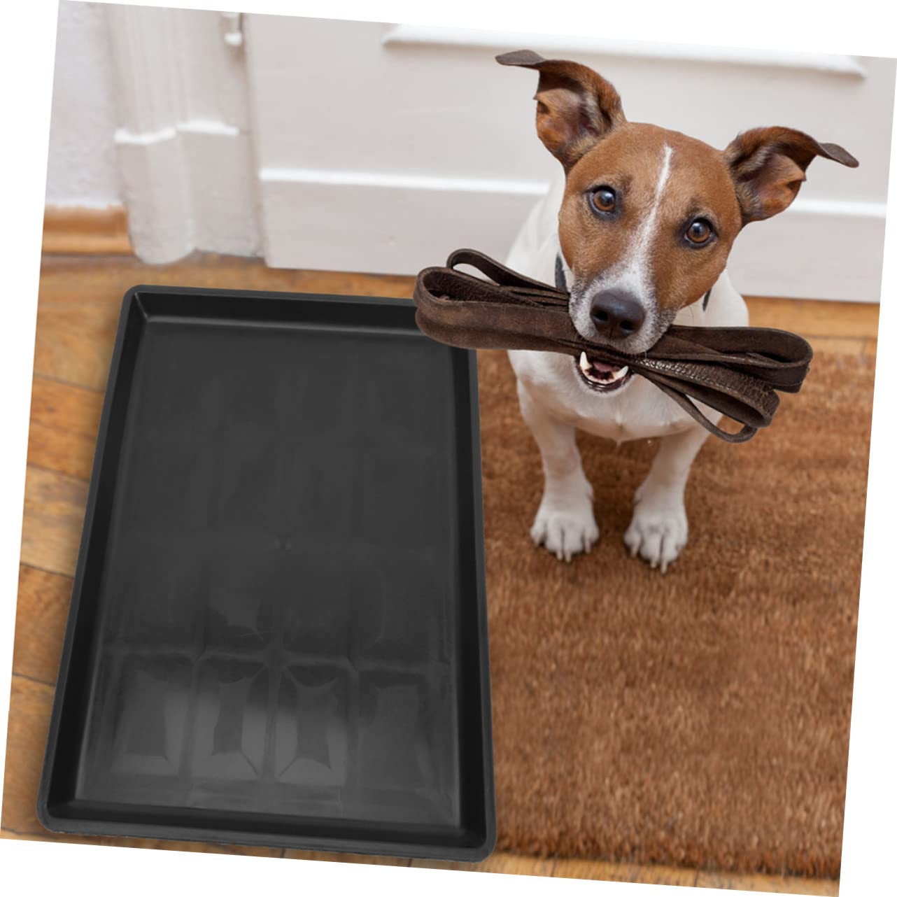 HAPINARY Tray Pet Cage Potty Tray Chick Cage Bedpan for Dog Pad Pee Pads Made of Pp Resistant to Wear and Fade