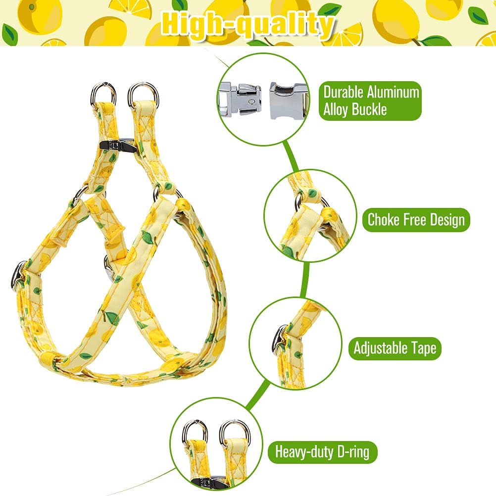 PAWCHIE Dog Harness and Leash Set, No Pull Dog Vest Harness for Small Medium Dogs Puppies, Adjustable Heavy Duty Halter Harnesses with Cute Patterns