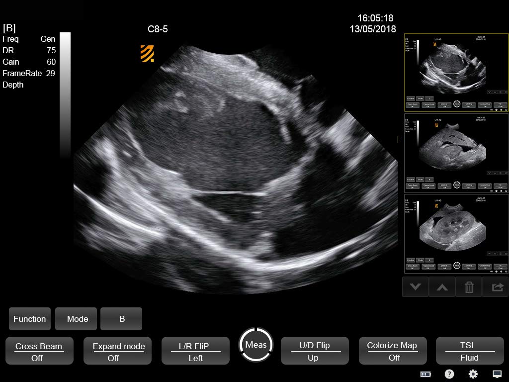 PT50A Veterinary 15" Touchscreen B/W Portable Ultrasound Machine - Small Animals, Equine, Bovine, Exotic Species