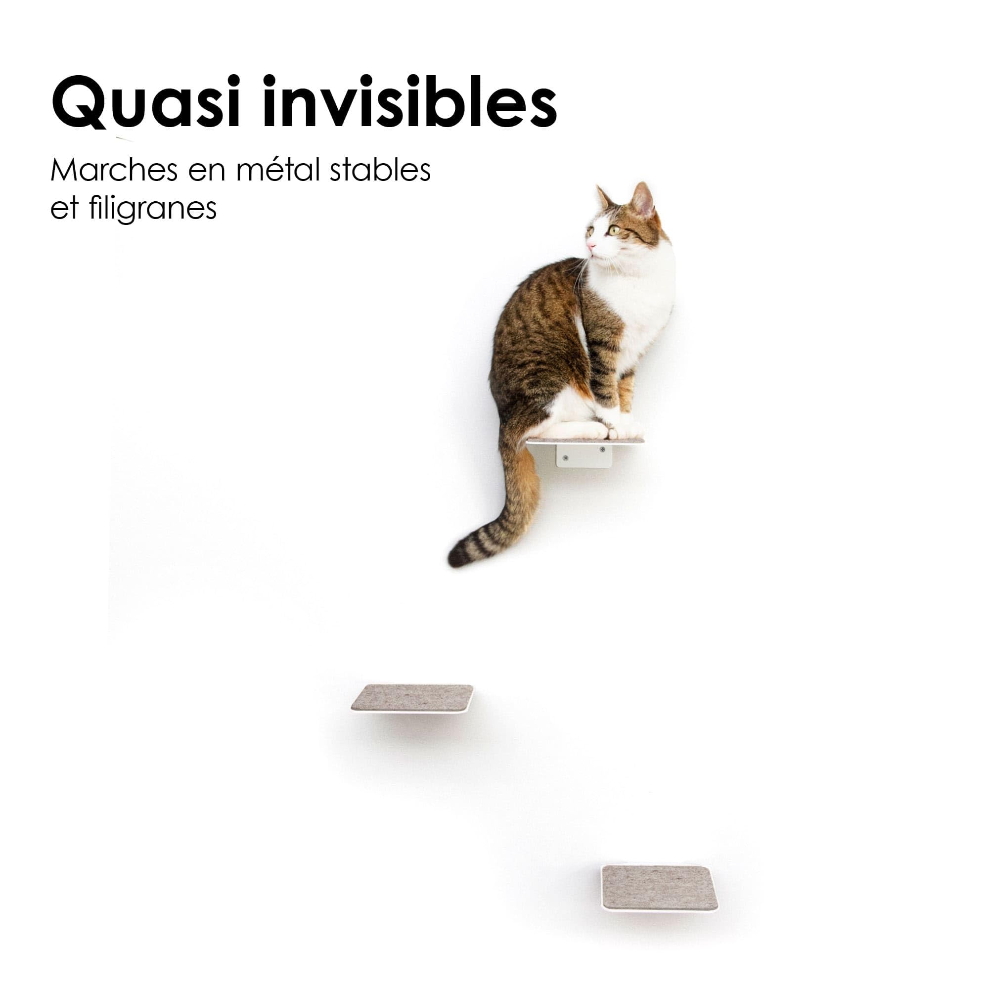 LucyBalu® Steps Marches murales pour Chat Lot de 3 I Anthracite