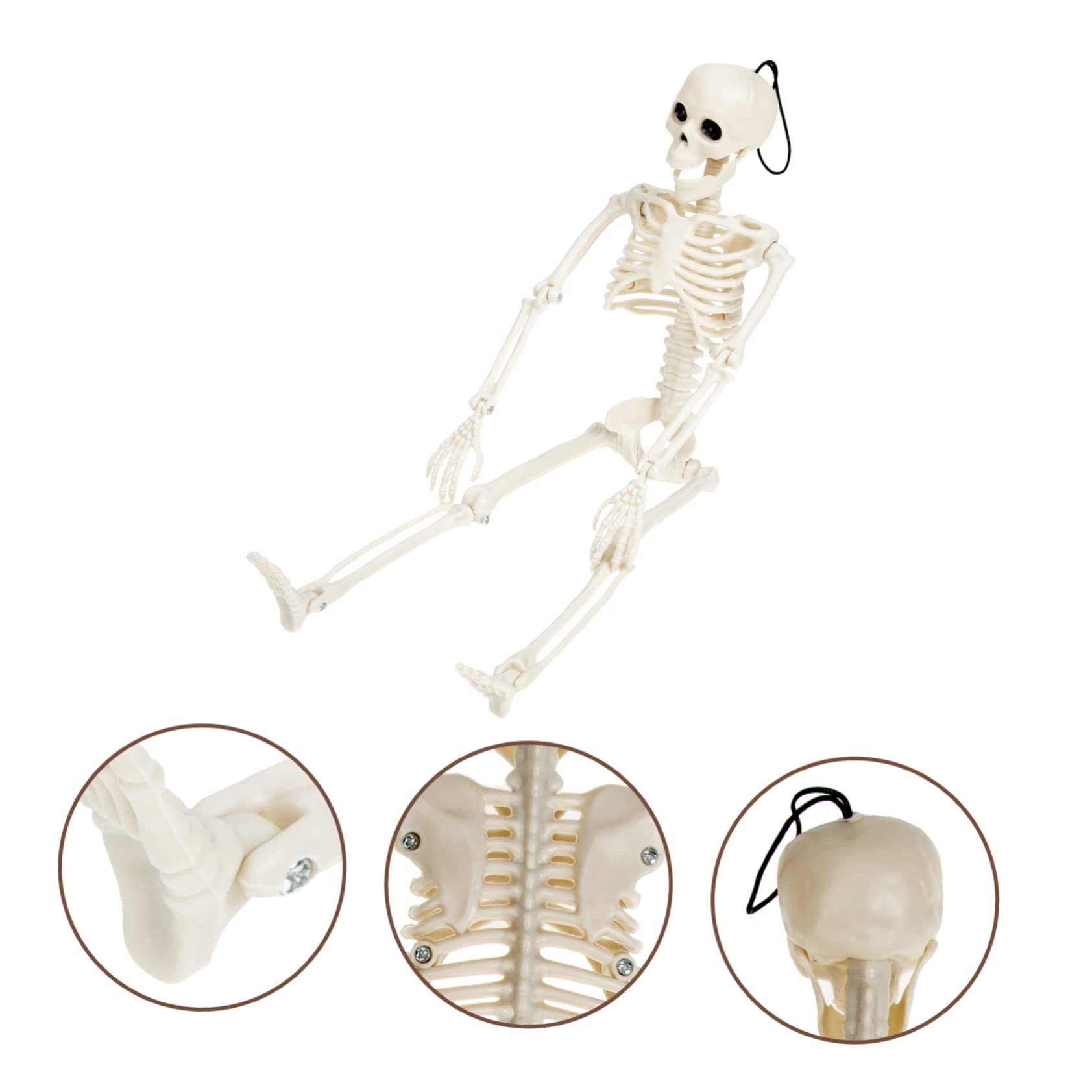Toyvian 4 Piezas Esqueleto Humano Esqueleto Adorno De Esqueleto De Miedo De Halloween Articulación del Esqueleto De Halloween Figura De Esqueleto Novio Móvil Ornamento El Plastico