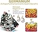 Halolux Lymphvity Germanium Earrings, Lymphvity Magnetherapy Germanium Earrings for Weight Loss, Halolux Lymphatic Geranium Earrings, Lymphatic Drainage Earrings (Silver+Glod)