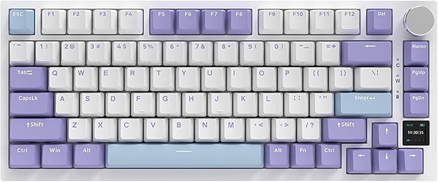 Amazon.com: AJAZZ AK820 Pro 75% Gasket RGB Wireless Mechanical