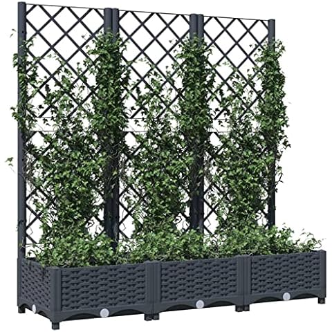 Keketa Garden Planter with Trellis Cover