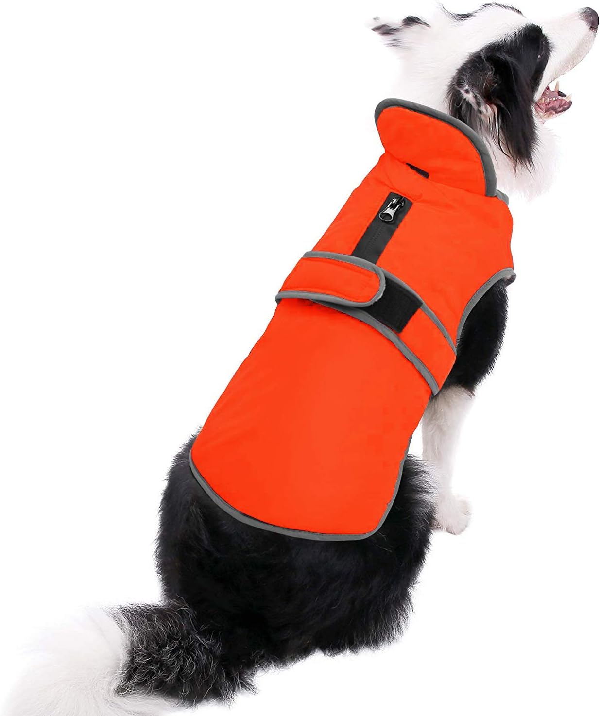 MIGOHI Reflective Waterproof Windproof Dog Coat Cold Weather Warm Dog Jacket Reversible Stormguard Winter Dog Vest for Small Medium Large Dogs(Orange, L) : Pet Supplies