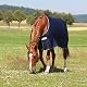 Abschwitzdecke Horseware HorSeven Cooler Lucky Seven