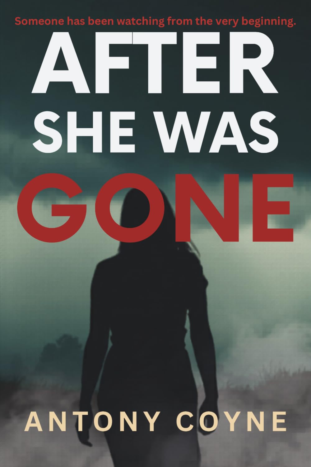 After She Was Gone