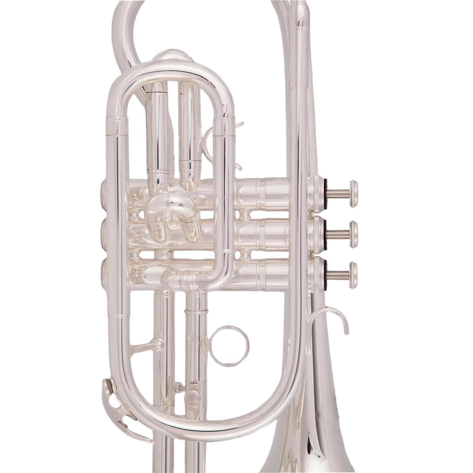Professional Trumpet Trompeta Sib Principiante