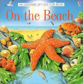 On the Beach (Usborne Lift-the-Flap Book)