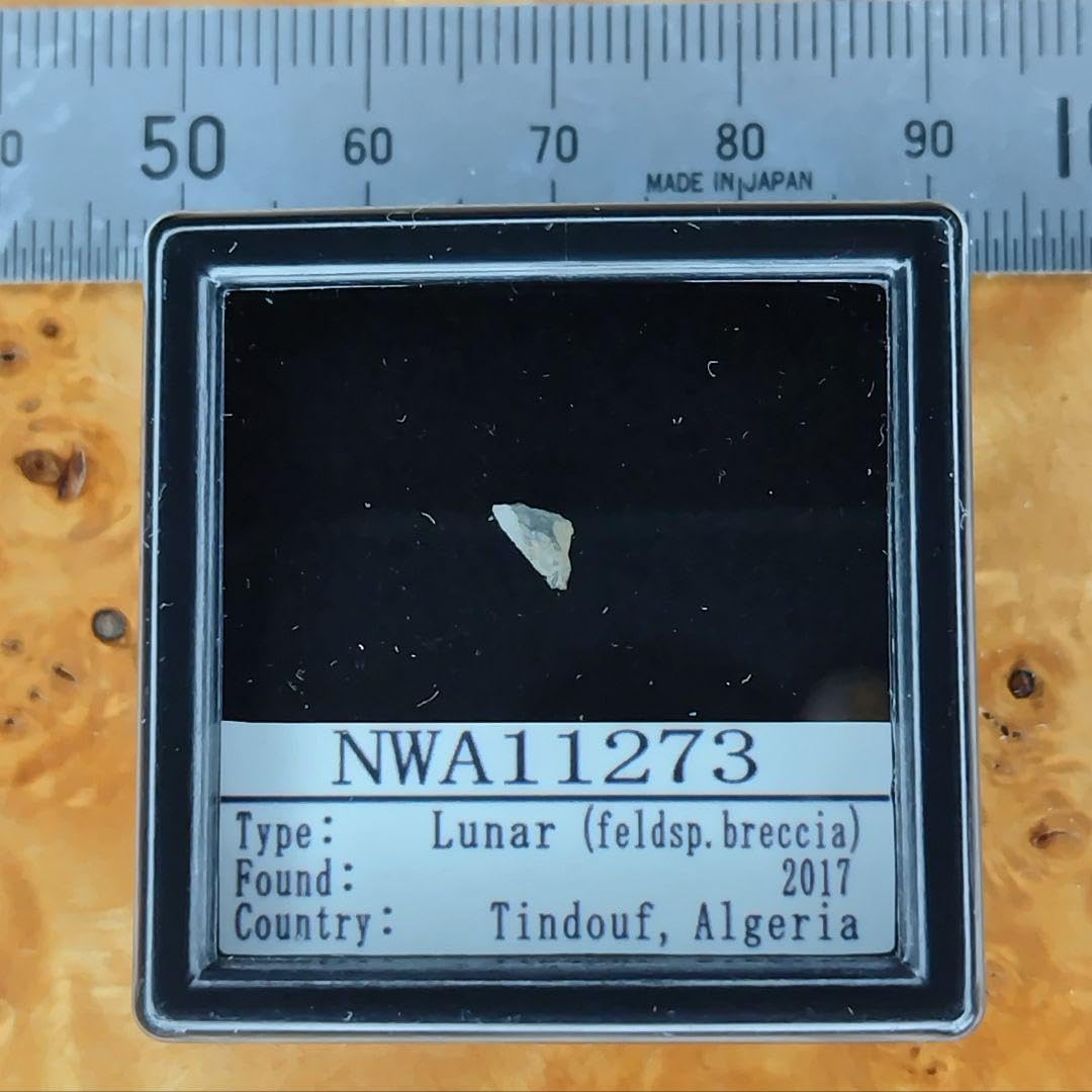 月の石＊ 月から来たNWA11273隕石標本 月のカケラ!＊月