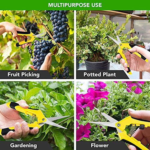 Tijeras de jardinería iPower 6.5 pulgadas 10 unidades miniatura 7
