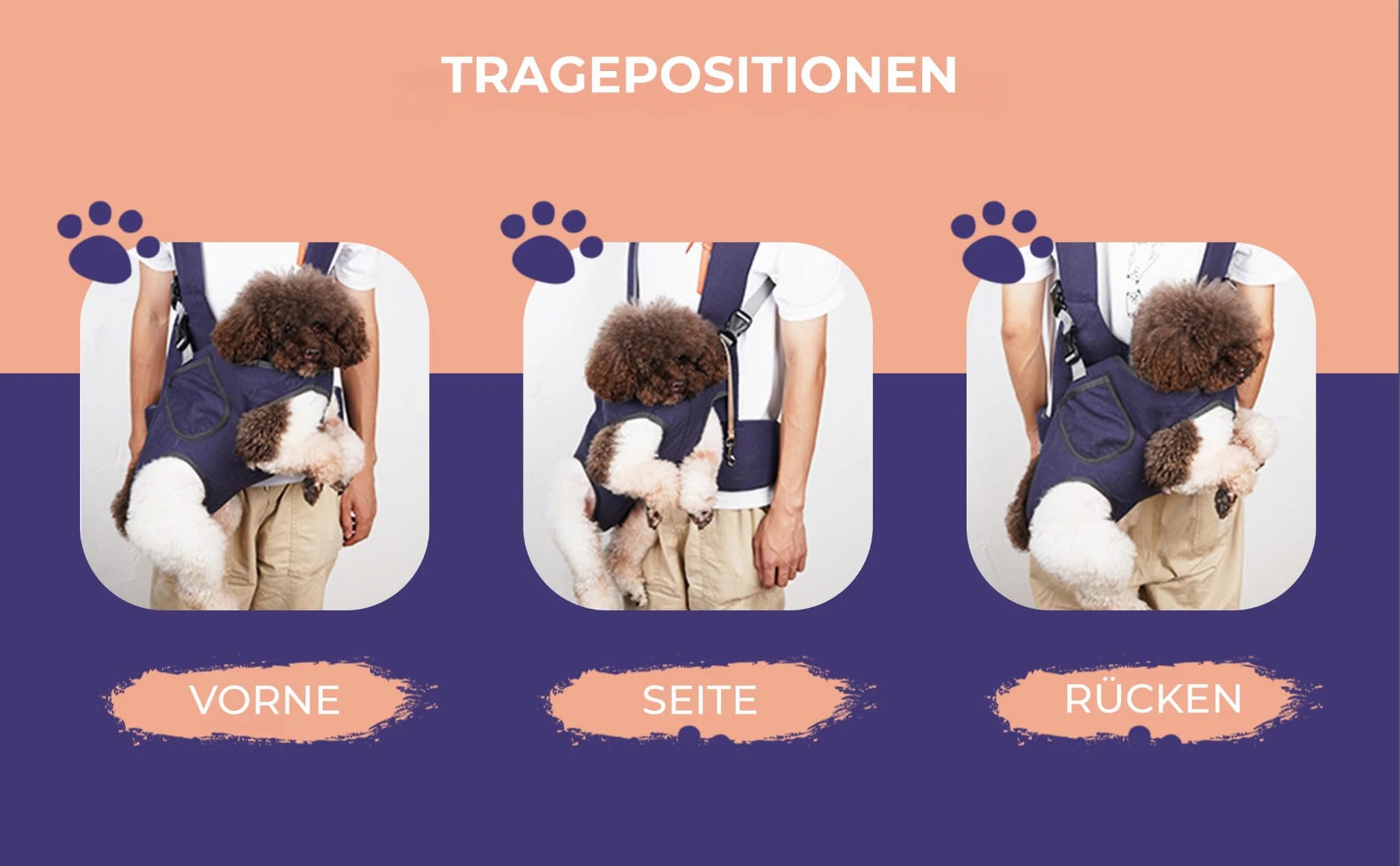 Haustiertransporter für Hunde und Katzen, Zusammenklappbare Transportbox für Auto und Flugzeug