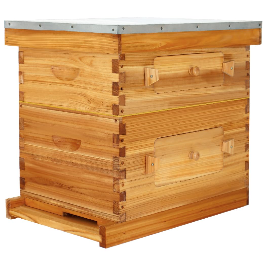 BeeCastle8 Frame Langstroth Beehive, Beeswaxed Coated Starter Kit with Beehive Frames and Waxed Foundations (1 Deep Box & 1 Medium Super)