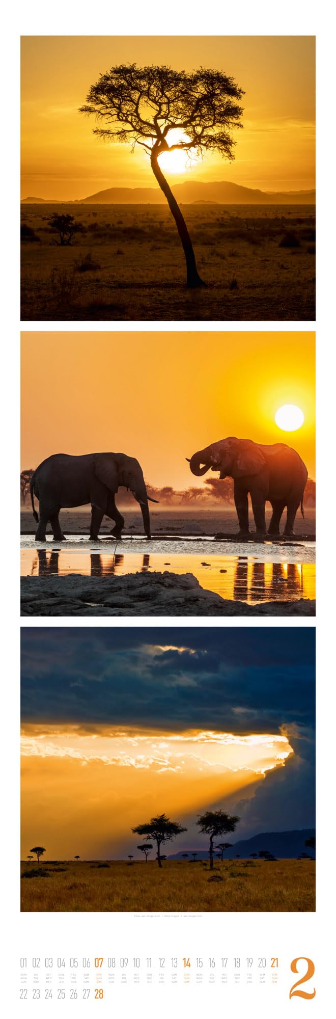 Nature Triplet-Kalender 2027 | Stilvoller Natur-Kalender im schlanken Hochformat (33x100 cm) | Triplet-Fotografie im Premium-Format
