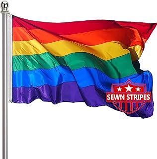 Rainbow Pride Flag 3x5 Outdoor-LGBTQ Flags Pride Flag Sewn Stripes Vivid Color Heavy Duty Polyester Flags with 2 Brass Grommets