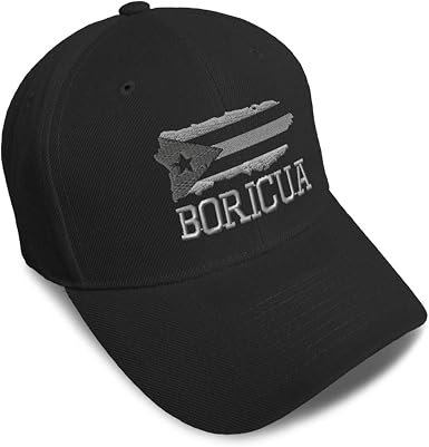 Amazon Com Gorra De Beisbol De La Isla De Puerto Rico Bandera De Mapa Bordado C Gorros Para Papa Para Hombres Y Mujeres Beisbol Talla Unica Clothing