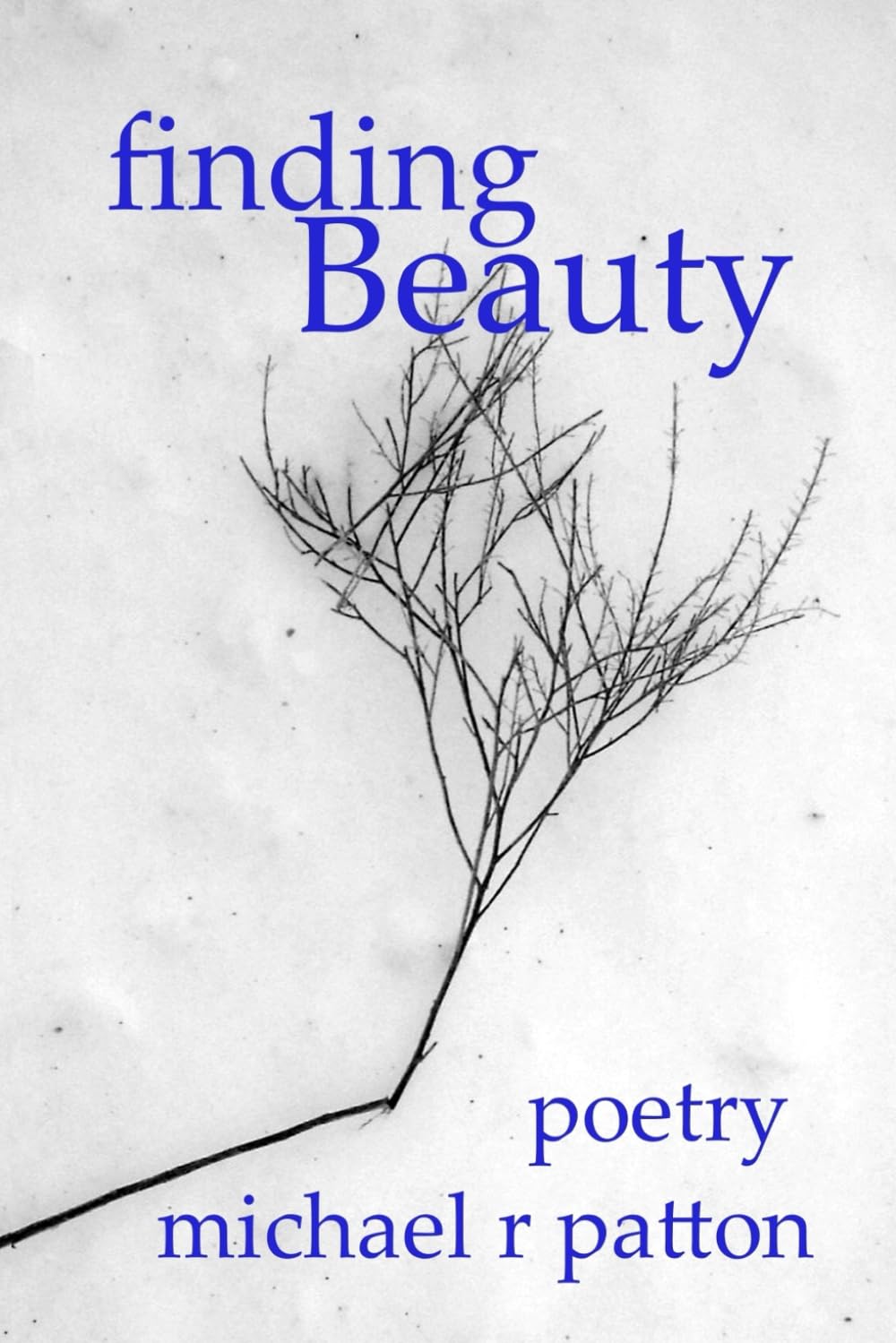 finding Beauty: poetry