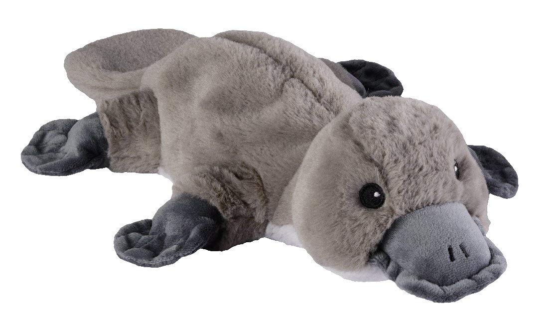 warmies, cuscino termico a forma di ornitorinco con imbottitura estraibile in lavanda e miglio, circa 40 cm