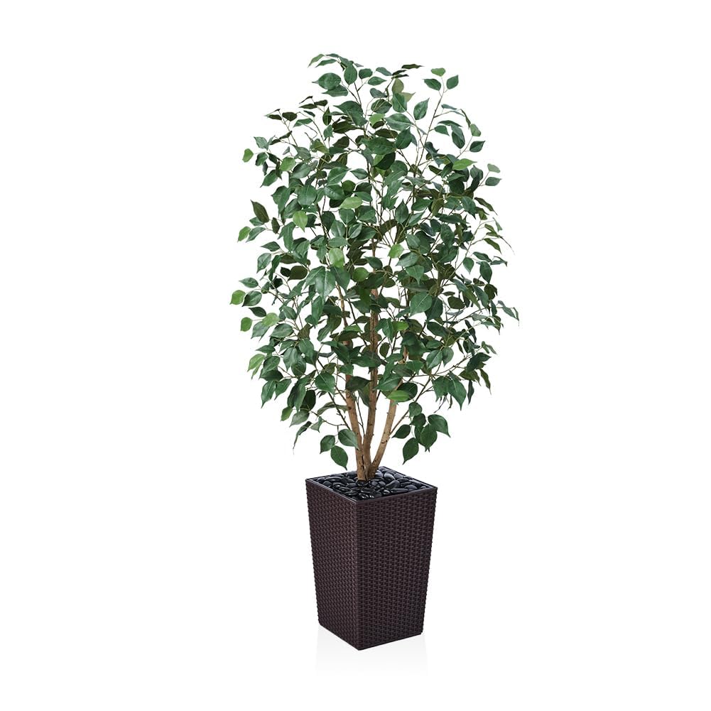 VeriNatural 5ft Artificial Ficus Tree,Tall Faux Tree with Silk Leaves & Real Wood Trunk,UV Resistant Potted Fake Plant with Pebbles & Planter,Indoor