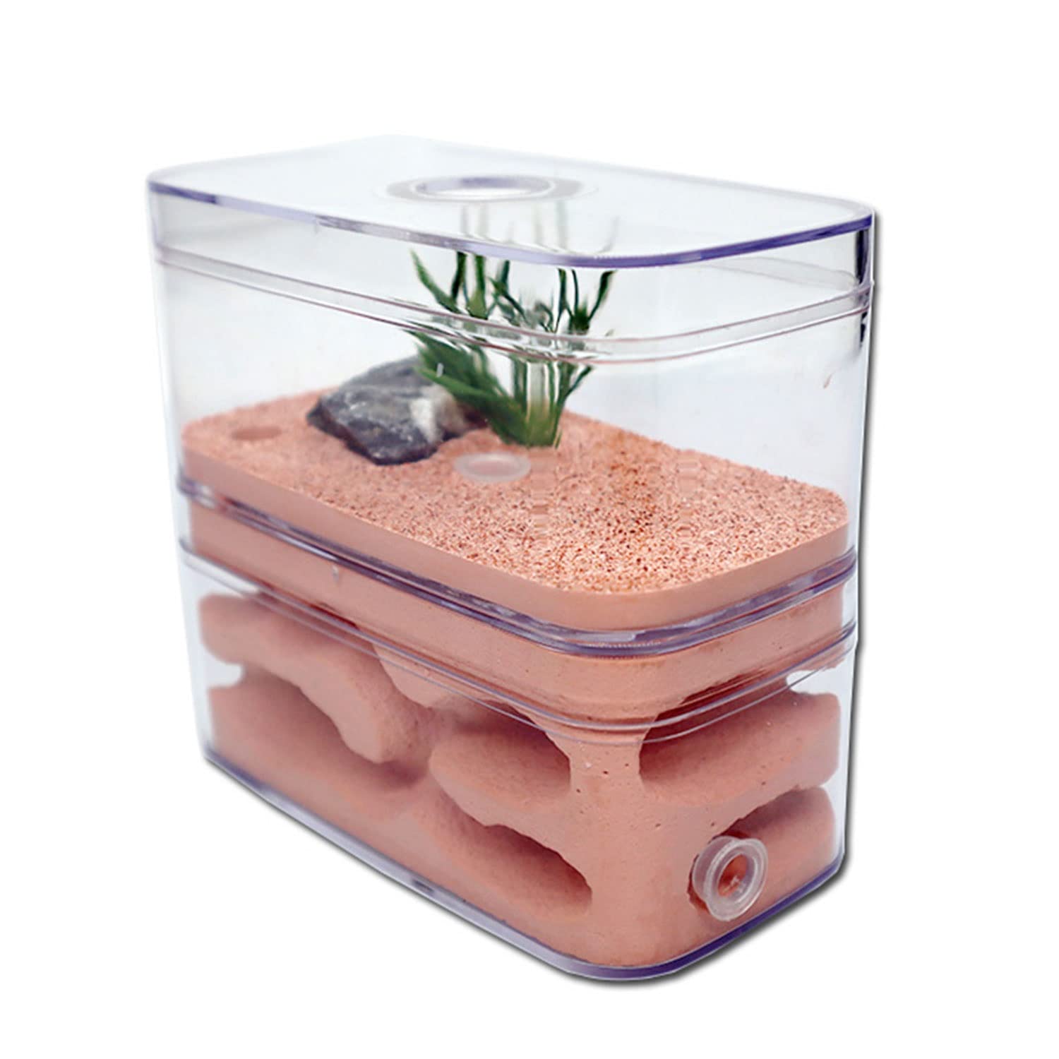 DIY Nido De Hormigas Yeso Hormiga Granja Insectos Hormigas Nidos Caja Hormiguero con Área De Alimentación Villa Mascota Manía Avanzada para Hormigas De Casa