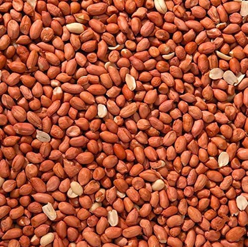 Trusty® Pet Supplies Wild Bird Peanuts 2.5kg