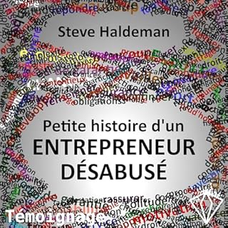Petite histoire d'un entrepreneur désabusé cover art