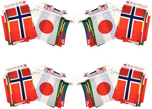 大きな割引 Iriwa 万国旗 世界 国旗 100ヶ国 全長25ｍ 日本 日の丸有り 運動会 文化際 フェスティバル 国際交流 装飾 2組セット50ｍ Www Voltaredondaimoveis Com Br