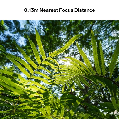 Image of VILTROX 14mm f4.0 FE Lens for Sony E-Mount, Full Frame Large Aperture Ultra-Wide Angle Prime Lens Compatible with Sony E-Mount Cameras a7C ZV-E10II a7Ⅲ a7RⅢ a7Ⅳ a7RⅣ ZV-E10 a6400 a6500 a6600