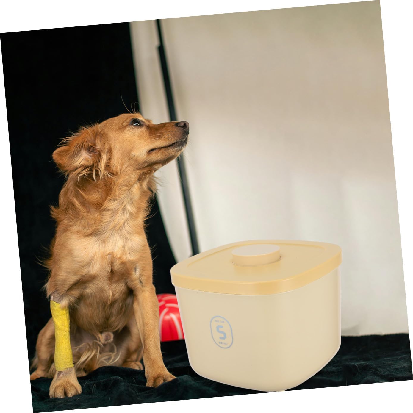 Pet Food Storage Container Airtight Small Yellow Vacuum Sealed Cat and Dog Food Bin Moisture-proof Grain Keeper for Daily Snack Organization