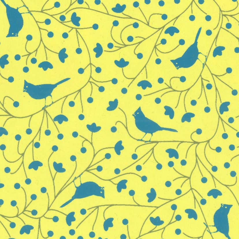 PAPERTREE 50 x 70 110 g Cherry Lemon/Azure – Pack of 10