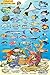 Curacao Reef Creatures Guide Franko Maps Laminated Fish Card 4" x 6"