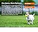 SKIPDAWG Hunde-Ball Breezy, Leichter Ball mit luftdurchlässiger Rippenstruktur, ideal zum Apportieren, sehr gut für Ballschleuder [2er Set]