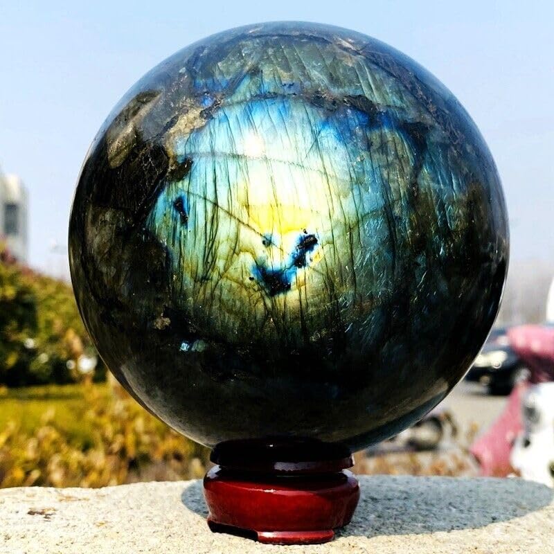 ミドリトリバネアゲハ♂♀ ミドリメガネトリバネアゲハ Ornithoptera priamus ～ 蝶の標本 麗蝶 ～