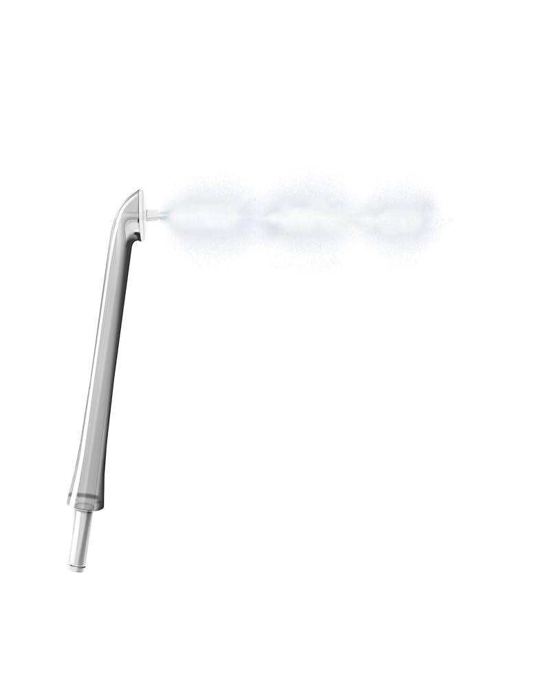 【まどり】Philips Sonicare AirFloss 2個 Philips Sonicare AirFloss Pro Replacement Nozzles, 2 Pack