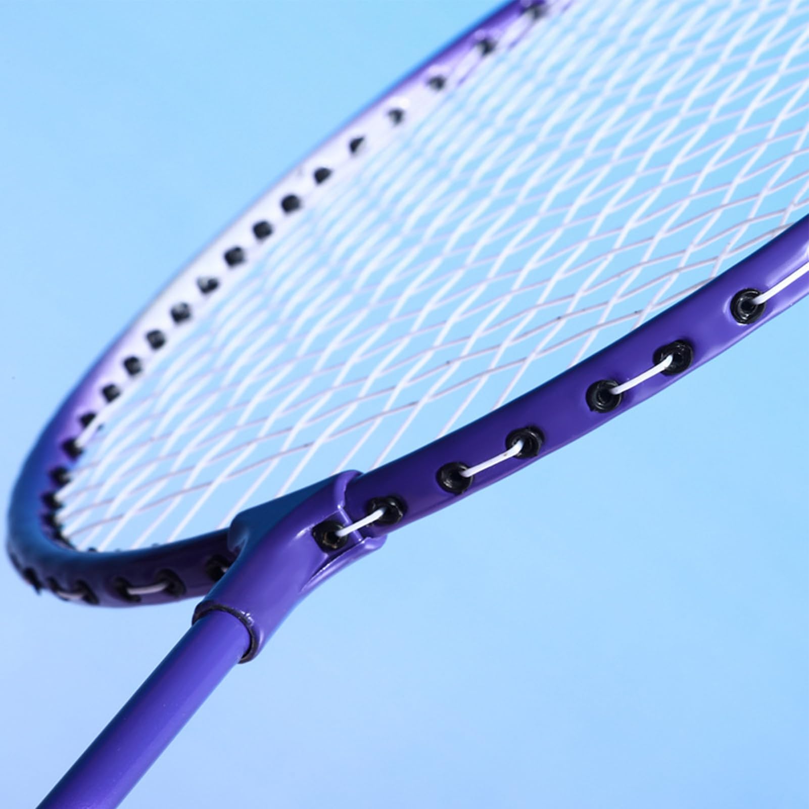 Set di racchette da badminton, 2 giocatori, kit completo con cock navetta, attrezzatura sportiva di alta qualità, per adulti e adolescenti, attrezzatura per il tempo libero durevole per giardino