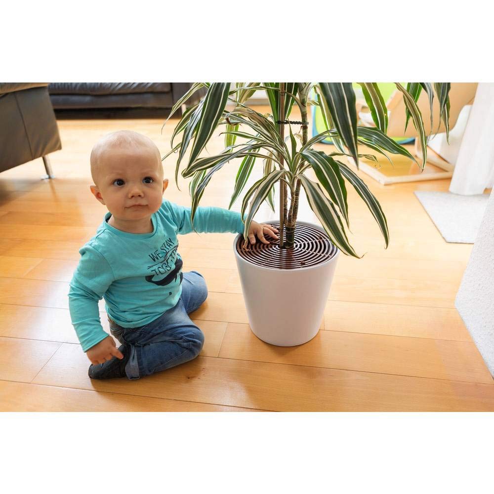 ABUS Junior Care Plant Protection - Noah | Seguridad para bebés | Marco de protección de flores | Cuadrícula | marrón | 73158 | Protege a los niños y mascotas de la tierra para macetas, se puede cortar, para macetas y macetas, incluye barras de fijación