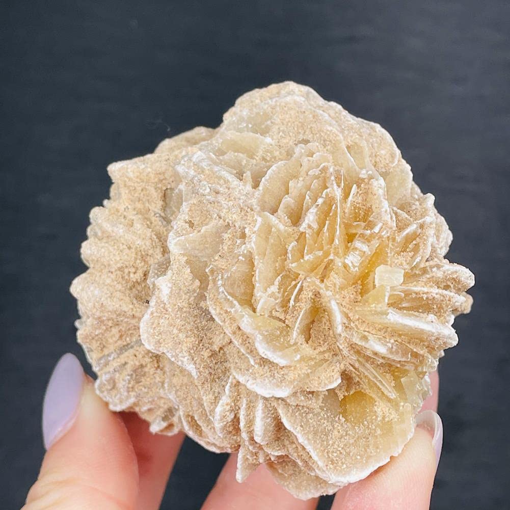 モロッコ デザートローズ モロッコ産デザートローズ(砂漠のバラ)/Desert Rose(Barite)