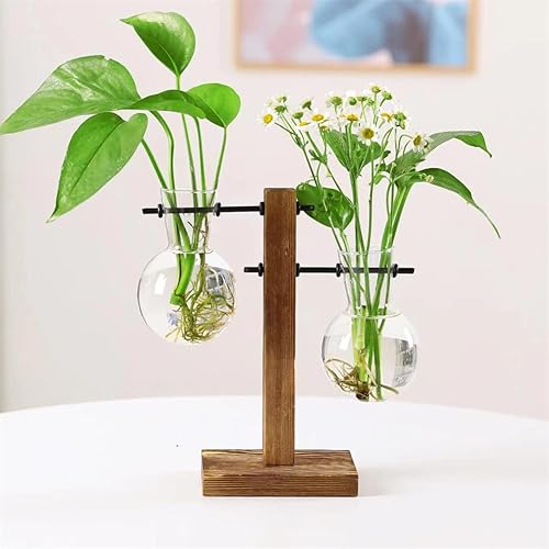 Miniatura 3 de Jarrón de cristal para plantas hidropónicas, kit de terrario de plantas de escritorio con soporte retro de madera maciza para plantas hidropónicas,