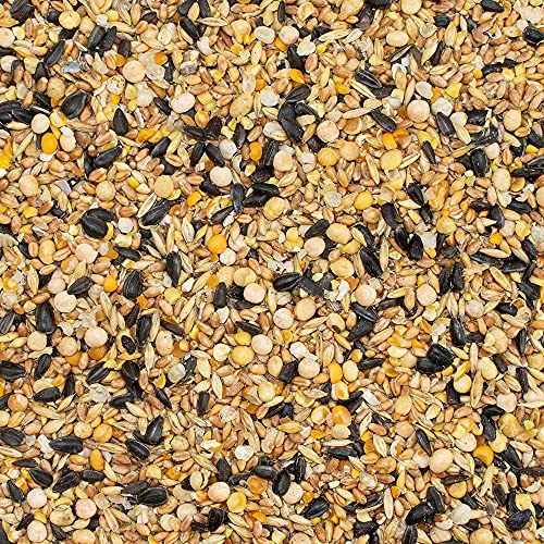 My Little Farm Bio-Wachtelkorn, 2 kg, Futter für Wachtelhühner im Legealter, wertvolle Bio-Körnermischung… – Bild 3
