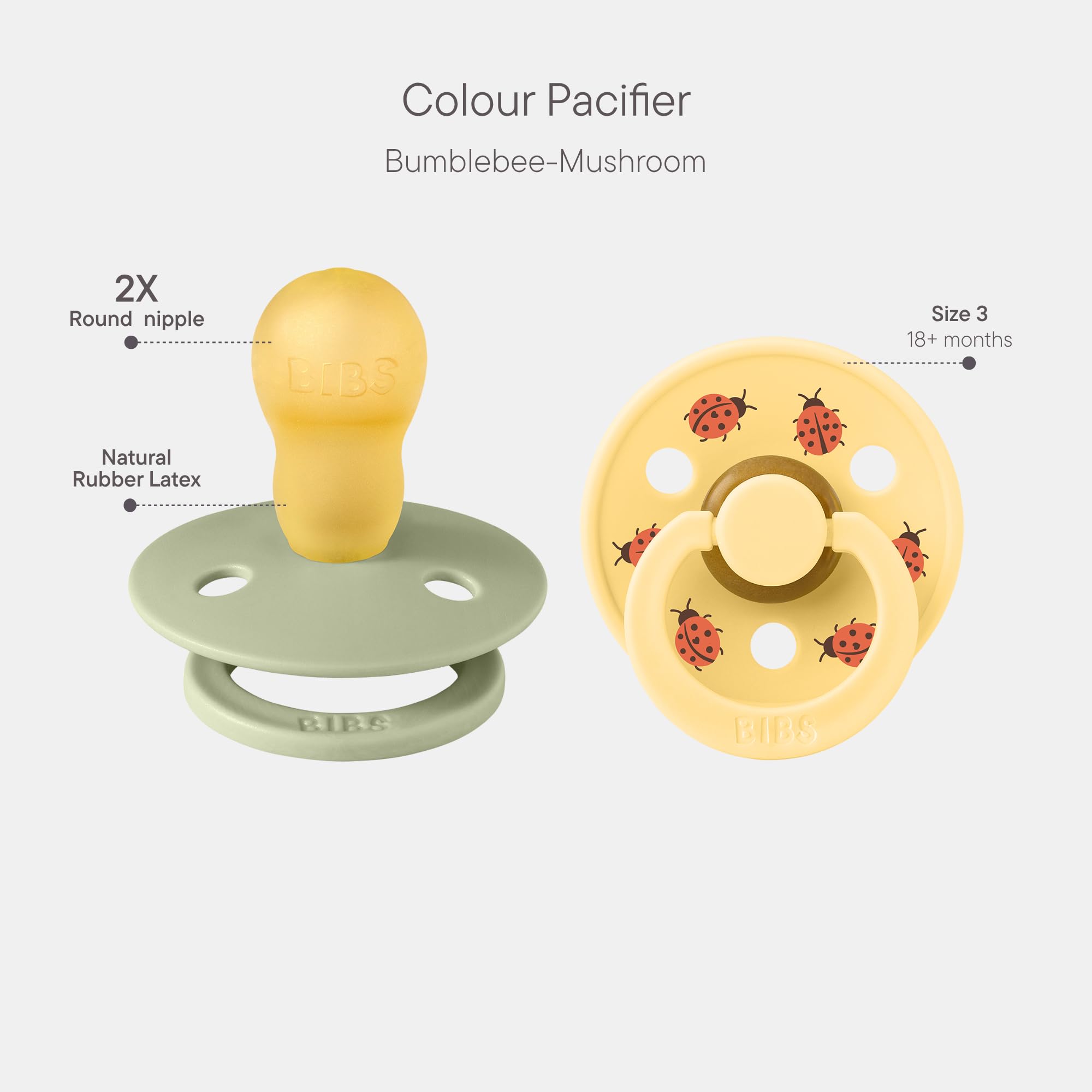 BIBS Colour Studio Ciuccio 2 pezzi, Lattice di gomma naturale, Taglia 3 (18+ mesi), Sage/Pale Butter